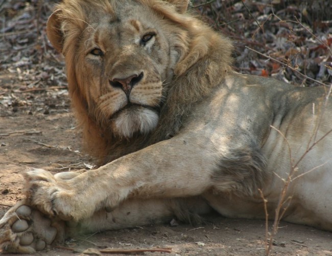 Zambezi National Park